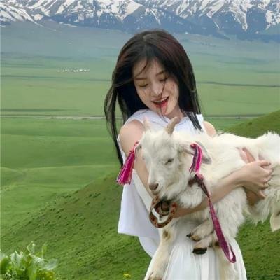 猫和老鼠：间谍使命