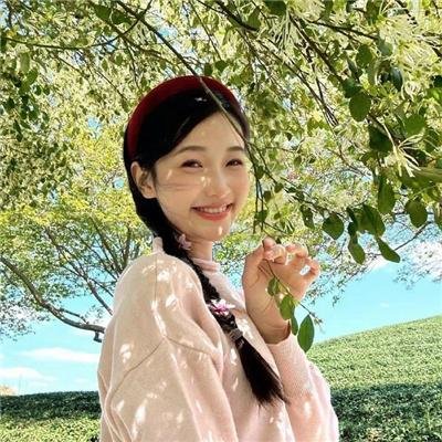 马达加斯加的企鹅